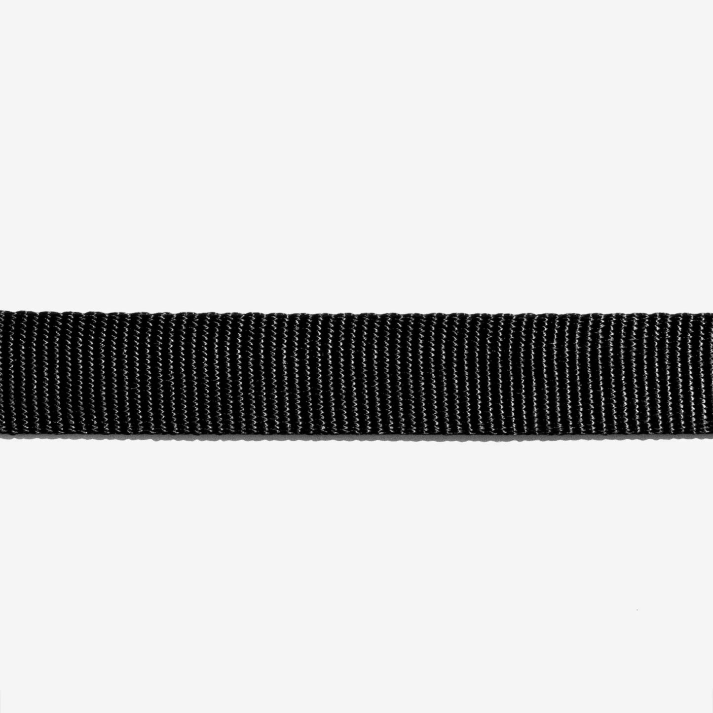 Back view of the Collar Gotham featuring its adjustable buckle and secure fit.