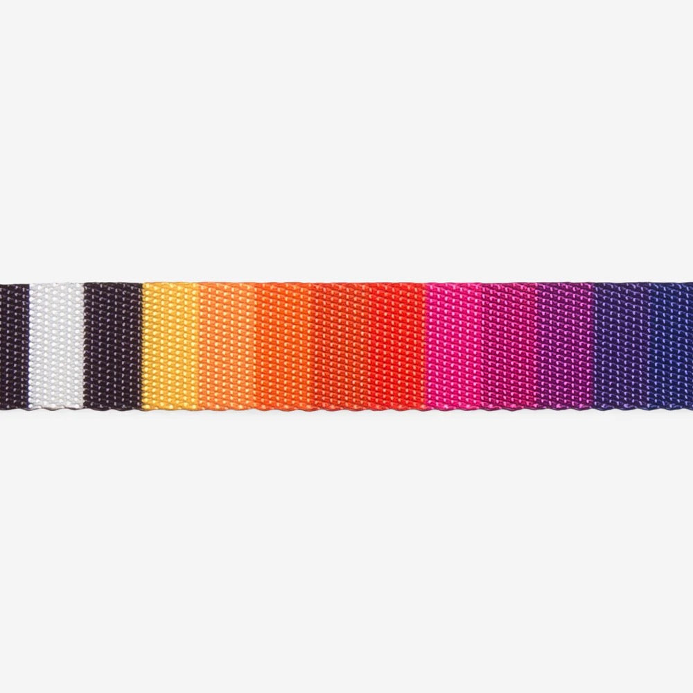 Back view of the Leash Prisma featuring its secure clasp and sturdy build.