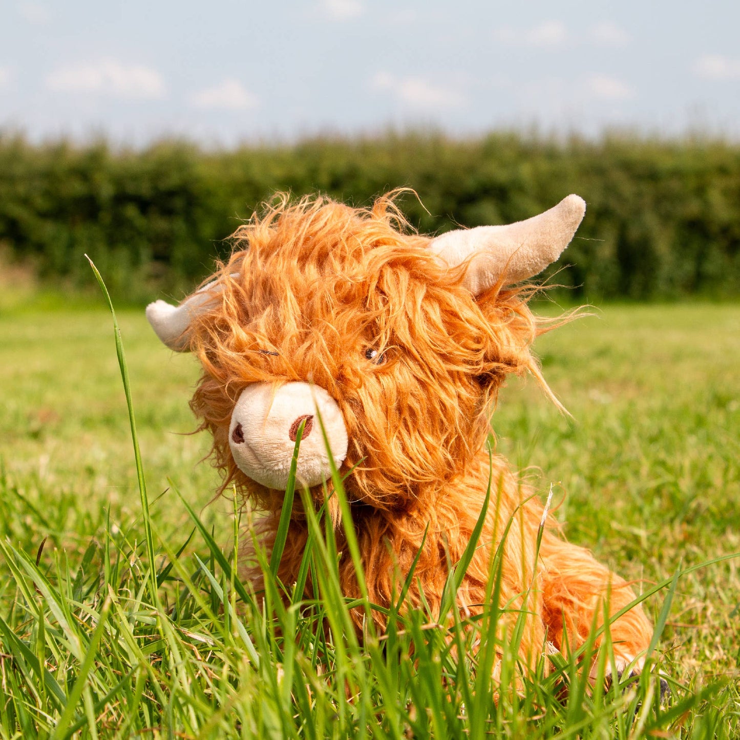 Plush dog toys featuring a realistic Highland cow design with fluffy fur, curved horns, and soft PP cotton filling for a cozy playtime experience.