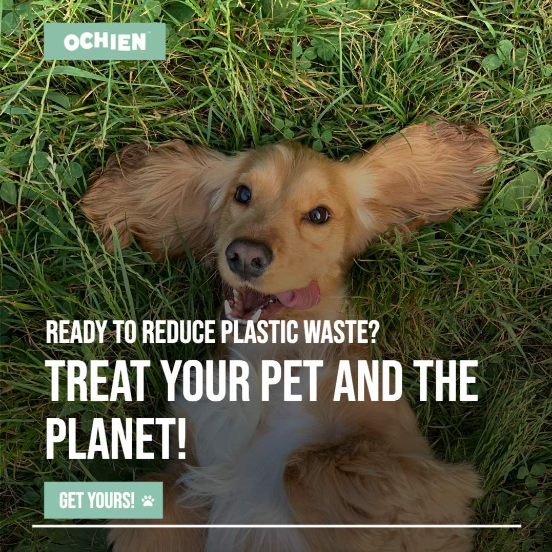 View of a happy dog with the Recycled Ocean Plastic Dog Bowl emphasizing comfort and eco-friendly design