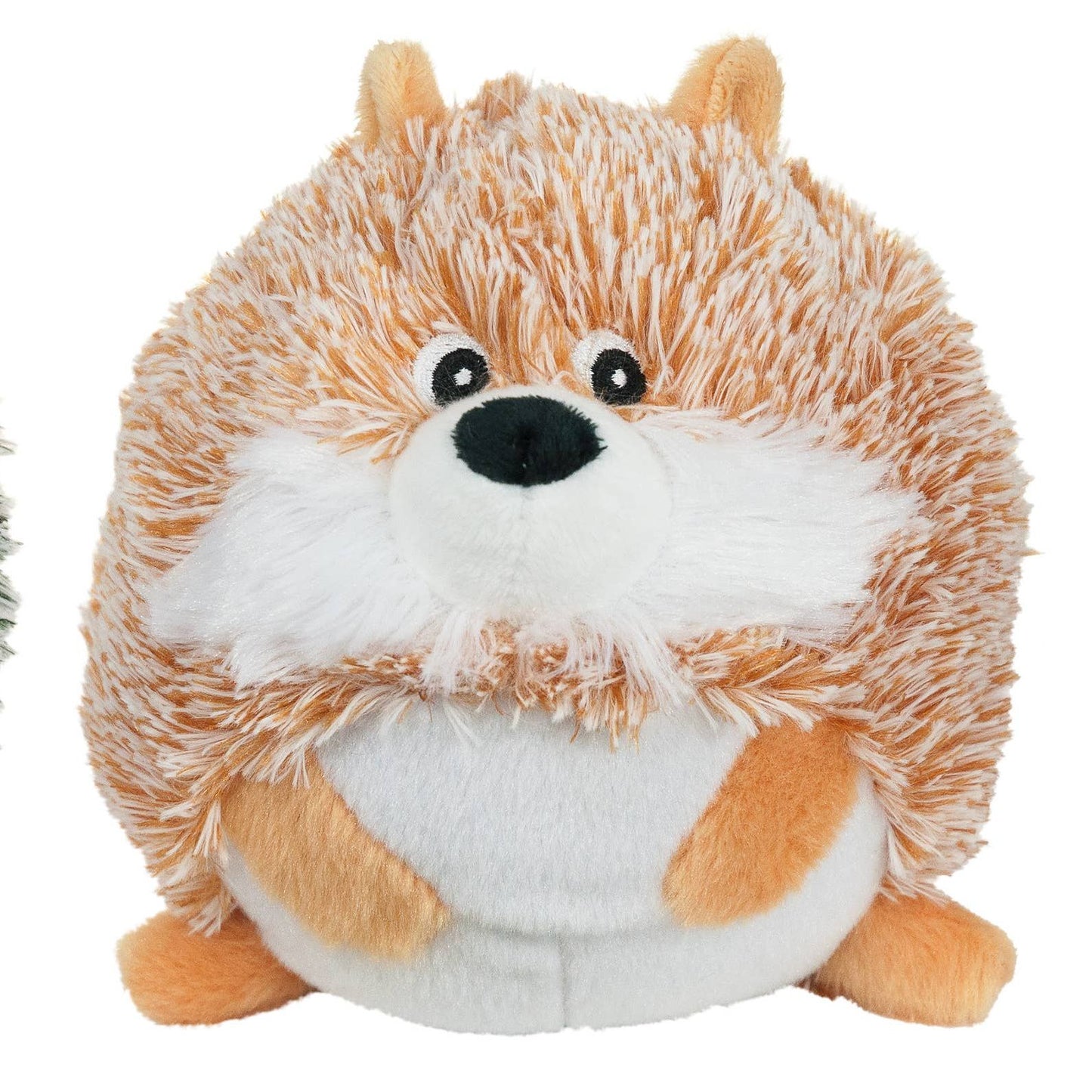 Single view of the Sonic Hedgehog showcasing one hedgehog in detail.