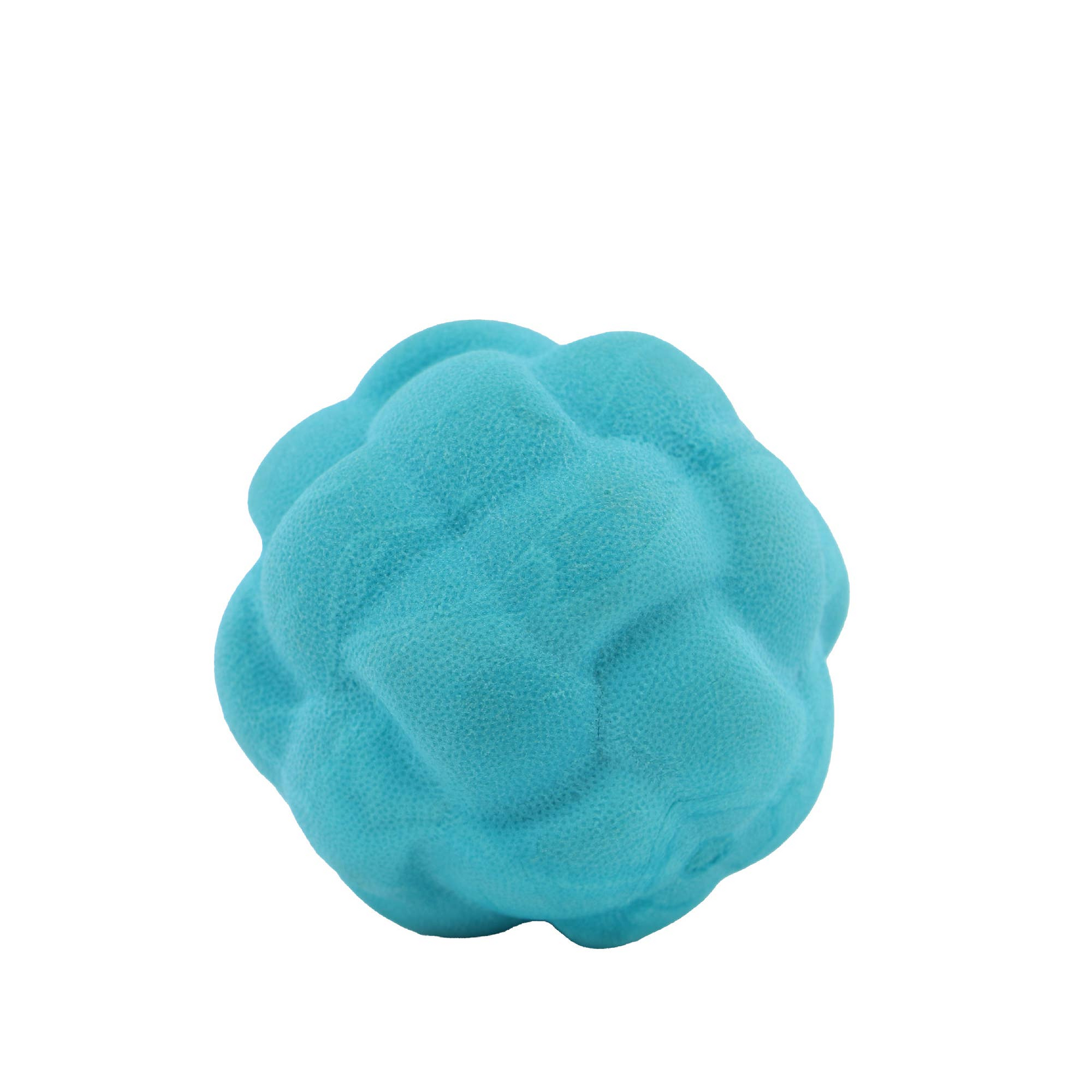Tough Dog Toy 