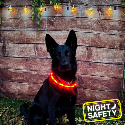 LED Safety Band 