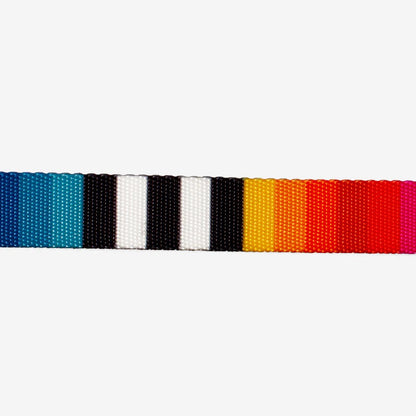 Back view of the Collar Prisma displaying its adjustable buckle and secure fit.