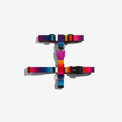Front view of the H-Harness Prisma showcasing its vibrant colors and secure fit.