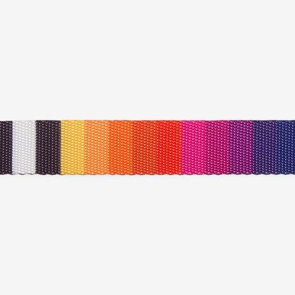 Back view of the Leash Prisma featuring its secure clasp and sturdy build.