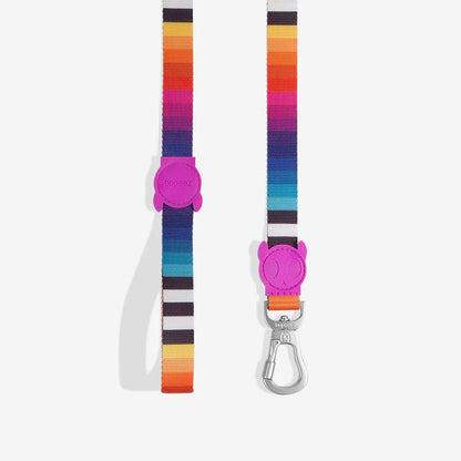 Full view of the Leash Prisma showcasing its vibrant colors and durable design.