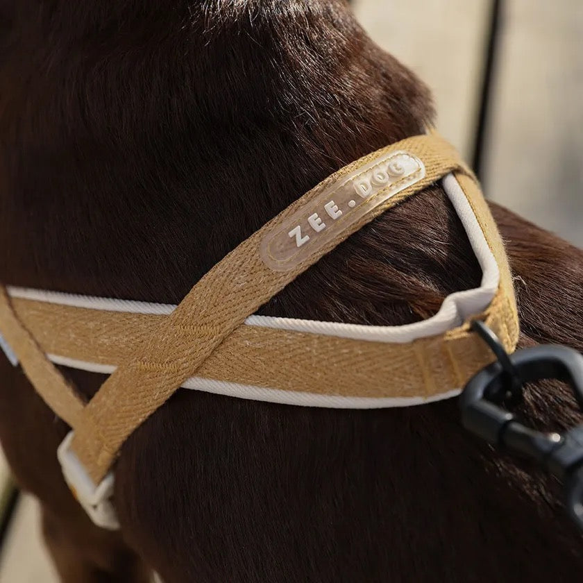 Close-up view of a dog wearing the Softer Walk Harness Dune emphasizing its detailed stitching and breathable material.