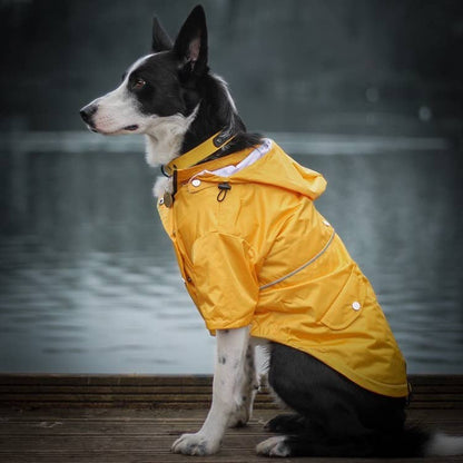 View of the Yellow 'Buddy' Dog Raincoat with the hood down showing relaxed fit.


