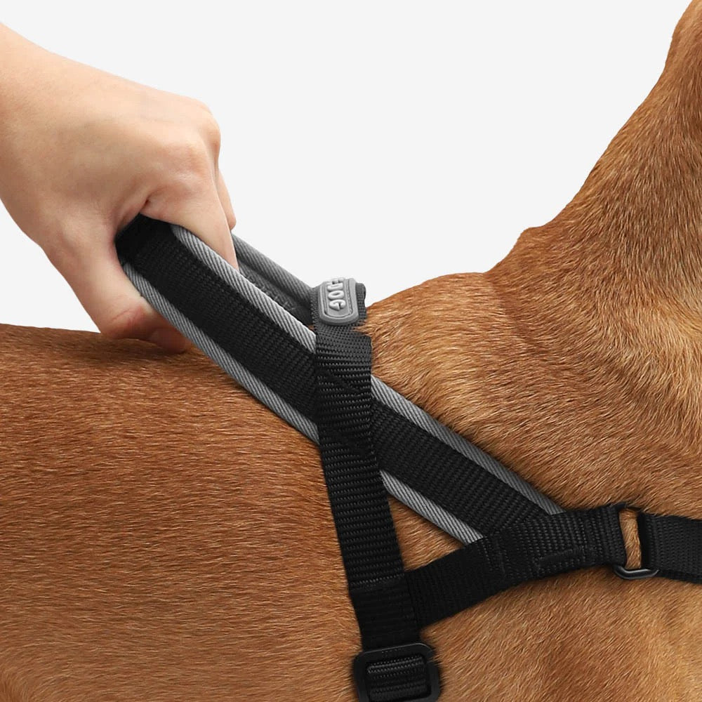 Zee.Dog Softer Walk Harness | Gotham