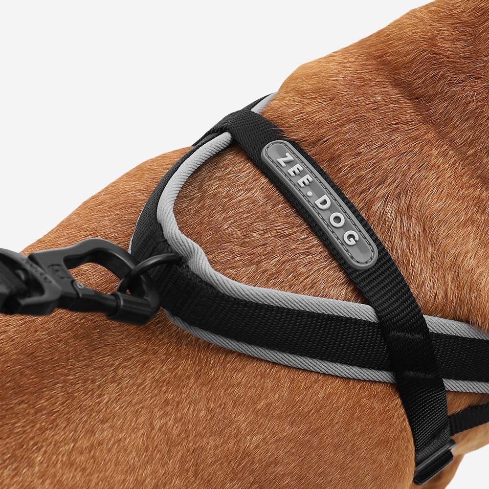 Zee.Dog Softer Walk Harness | Gotham